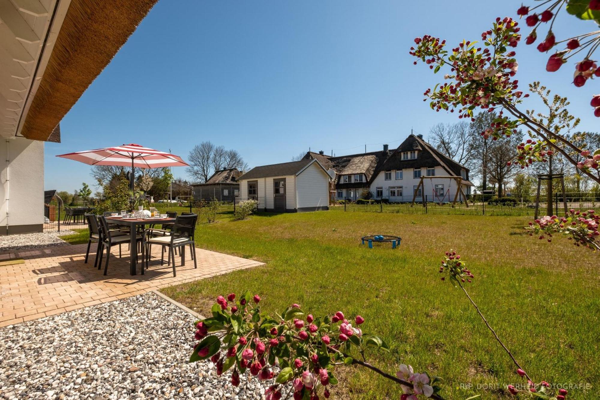 Inseldomizil Stolpe - Urlaub Unter Reet Auf Usedom Villa Stolpe auf Usedom Buitenkant foto