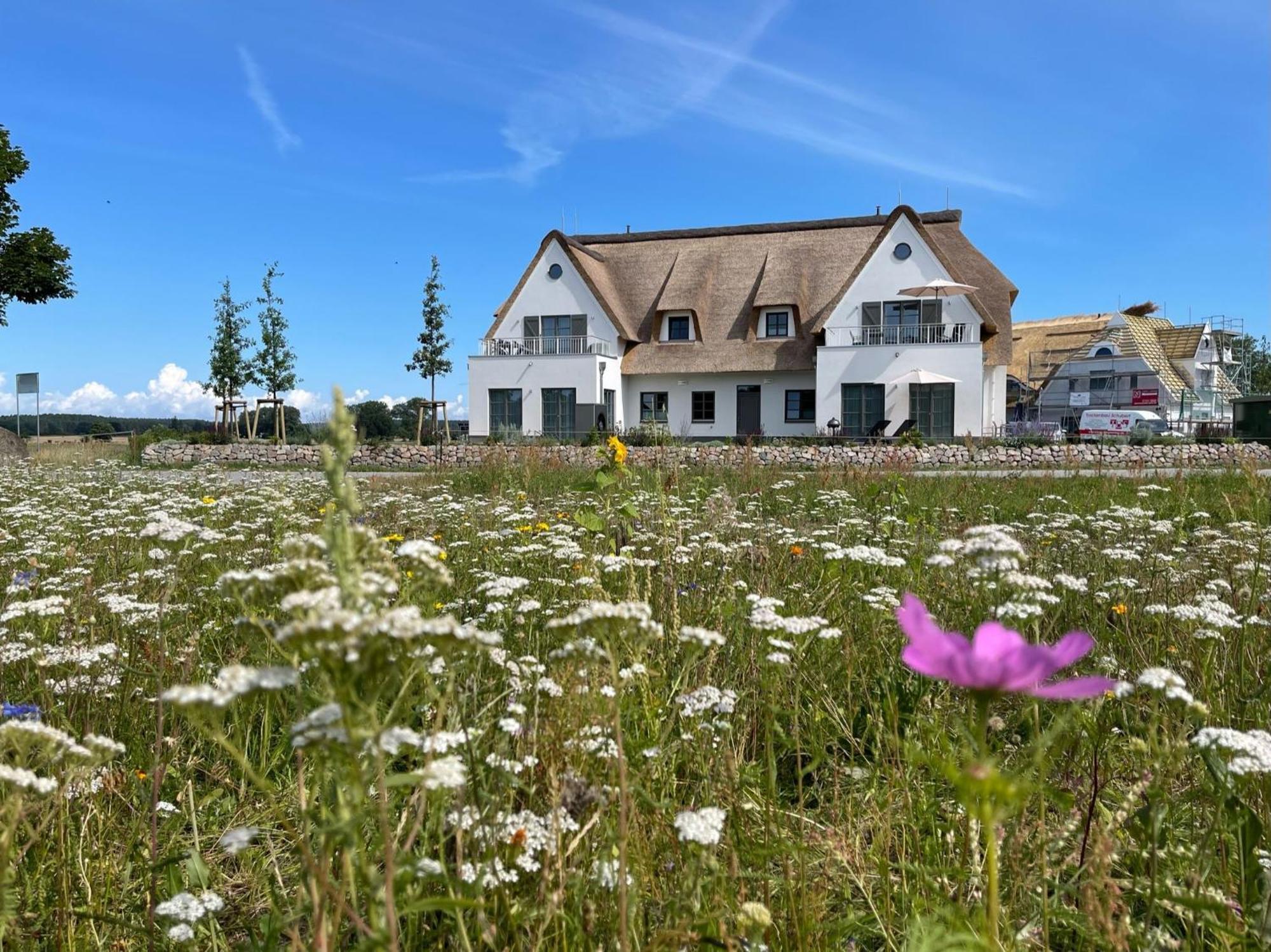 Inseldomizil Stolpe - Urlaub Unter Reet Auf Usedom Villa Stolpe auf Usedom Buitenkant foto
